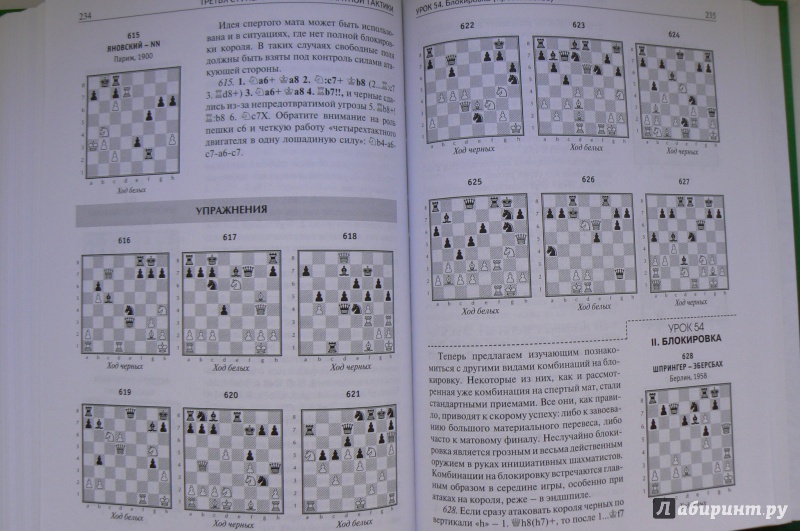 Иллюстрация 6 из 6 для Шахматы. Шаг за шагом. Школьный шахматный учебник - Николай Журавлев | Лабиринт - книги. Источник: Марина