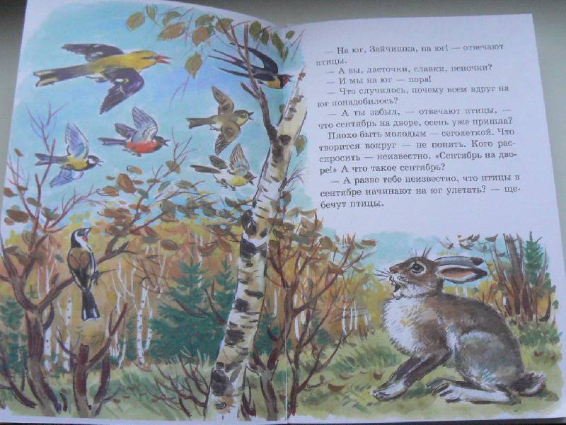 Иллюстрация 4 из 11 для Лесные сказки - Николай Сладков | Лабиринт - книги. Источник: -Ирина-