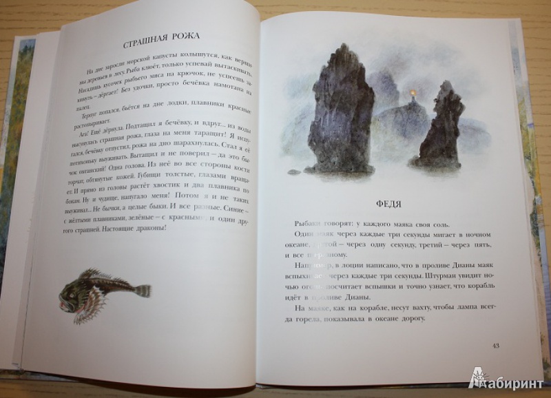Иллюстрация 38 из 58 для Рассказы о природе, о птицах зверях и разных краях - Геннадий Снегирев | Лабиринт - книги. Источник: КНИЖНОЕ ДЕТСТВО