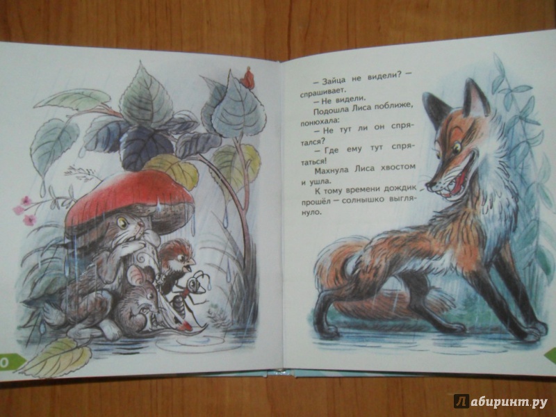 Иллюстрация 19 из 42 для Сказки - Владимир Сутеев | Лабиринт - книги. Источник: Мама чуда