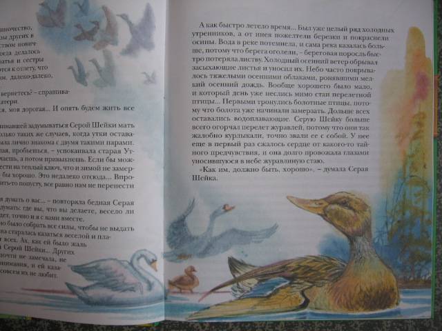 Иллюстрация 6 из 31 для Алёнушкины сказки | Лабиринт - книги. Источник: shvester