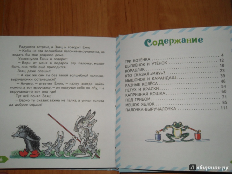 Иллюстрация 12 из 42 для Сказки - Владимир Сутеев | Лабиринт - книги. Источник: Мама чуда