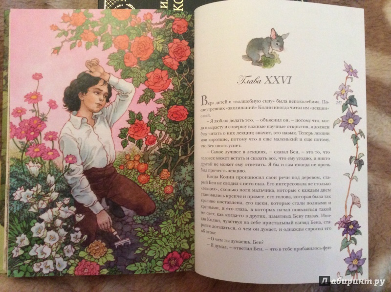 Иллюстрация 4 из 64 для Таинственный сад - Фрэнсис Бёрнетт | Лабиринт - книги. Источник: Лабиринт