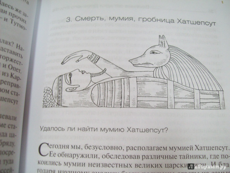 Иллюстрация 5 из 37 для Великие загадки Древнего Египта - Виолен Вануайек | Лабиринт - книги. Источник: КошкаПолосатая