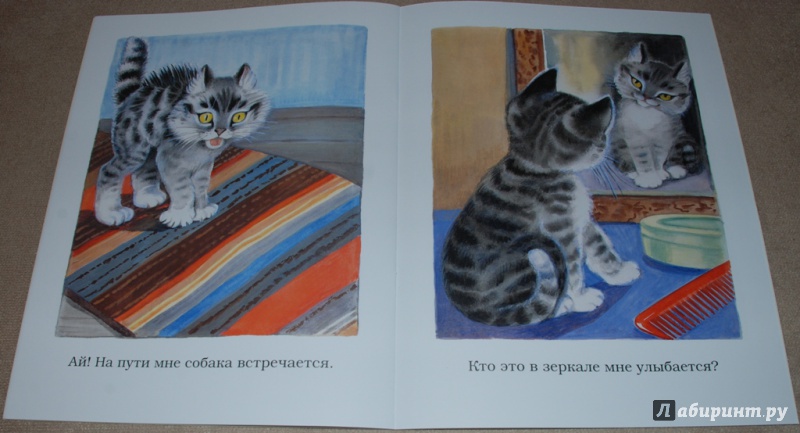 Иллюстрация 10 из 24 для Котёнок - Сергей Михалков | Лабиринт - книги. Источник: Книжный кот
