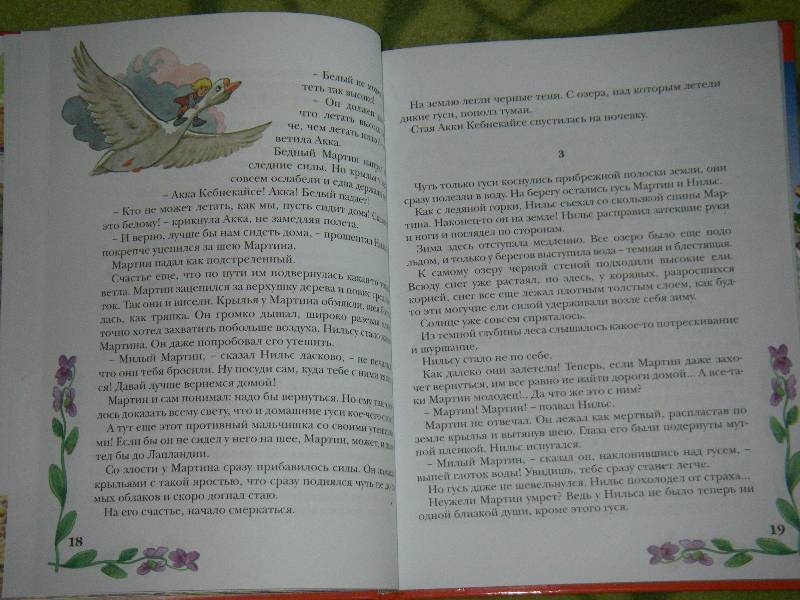 Иллюстрация 28 из 61 для Чудесное путешествие Нильса с дикими гусями - Сельма Лагерлеф | Лабиринт - книги. Источник: Ромашка:-)