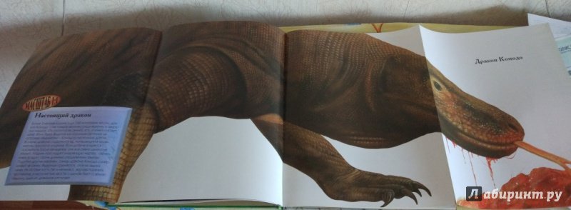 Иллюстрация 14 из 21 для Рептилии - Ханна Уилсон | Лабиринт - книги. Источник: Зиновьева Евгения Владимировна