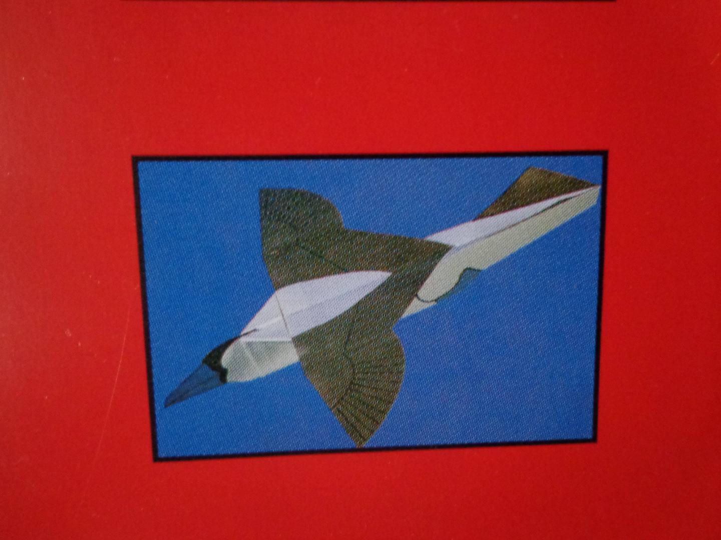 Иллюстрация 27 из 36 для Птицы из бумаги - Норман Шмидт | Лабиринт - книги. Источник: Лабиринт