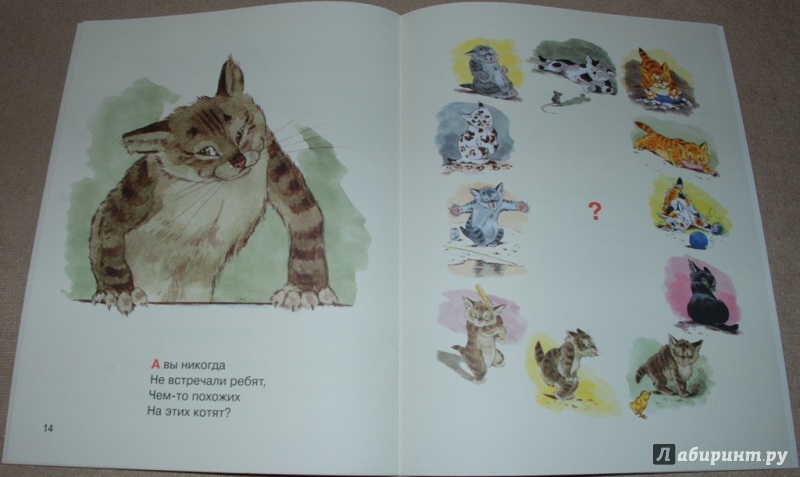 Иллюстрация 22 из 64 для Посмотрите какие котята - Владимир Матвеев | Лабиринт - книги. Источник: Книжный кот