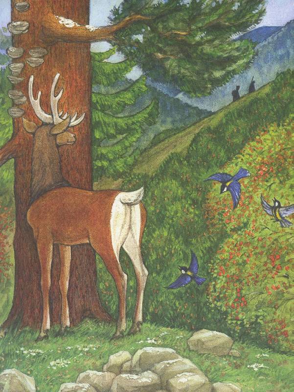 Иллюстрация 24 из 35 для Охотничьи истории - Геннадий Снегирев | Лабиринт - книги. Источник: Igra