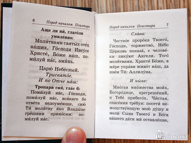 Иллюстрация 8 из 10 для Псалтирь. Русский язык | Лабиринт - книги. Источник: Mamma Mari
