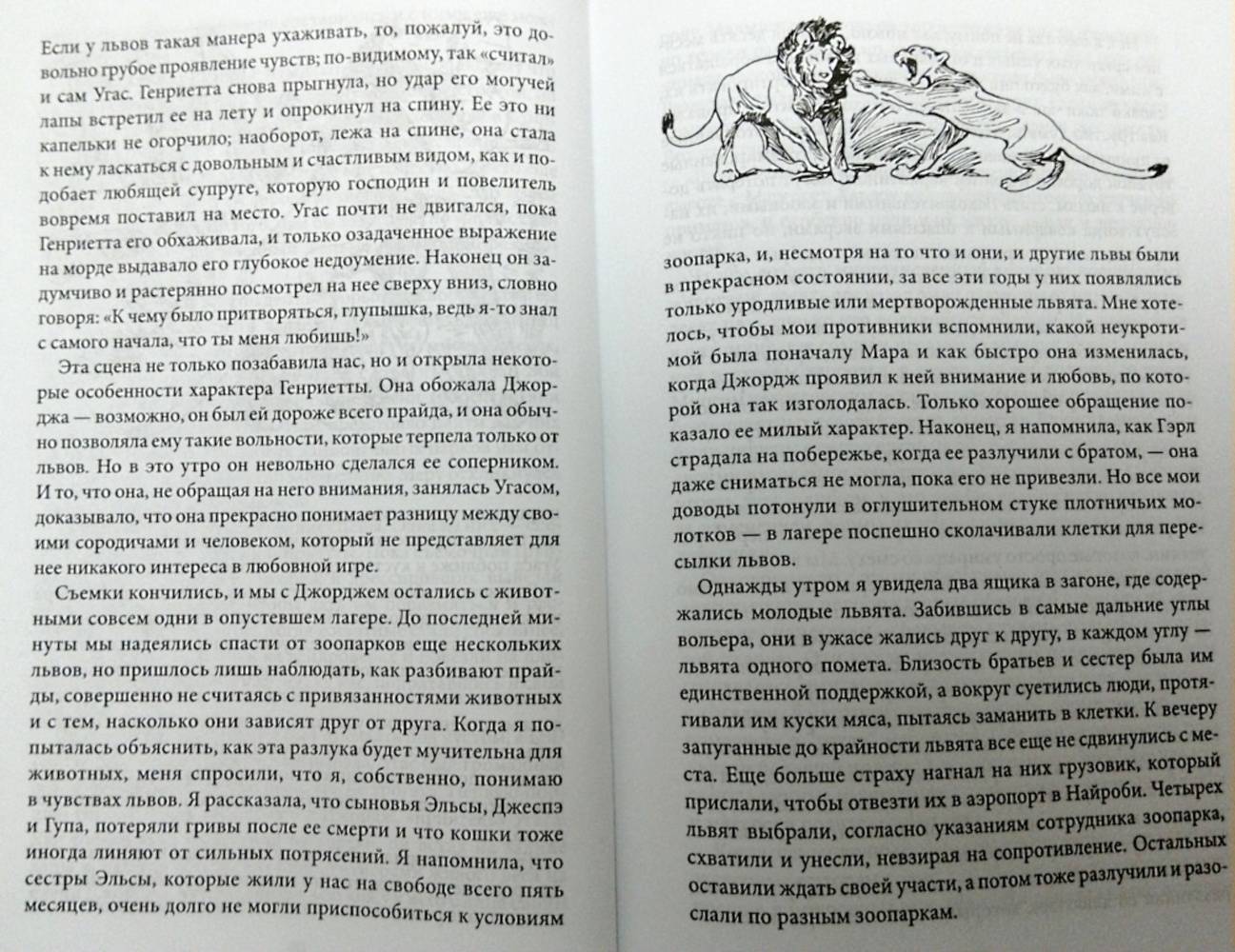 Иллюстрация 23 из 28 для Пиппа, или Пятнистый сфинкс - Джой Адамсон | Лабиринт - книги. Источник: Сова