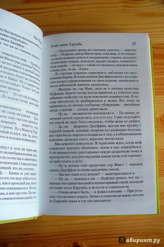 Иллюстрация 7 из 38 для Лабиринт Мёнина - Макс Фрай | Лабиринт - книги. Источник: Татьяна Тюрина