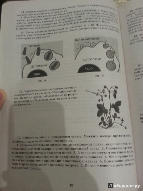 Иллюстрация 10 из 12 для Биология. Решение сложных заданий - Калинова, Никишова | Лабиринт - книги. Источник: Den