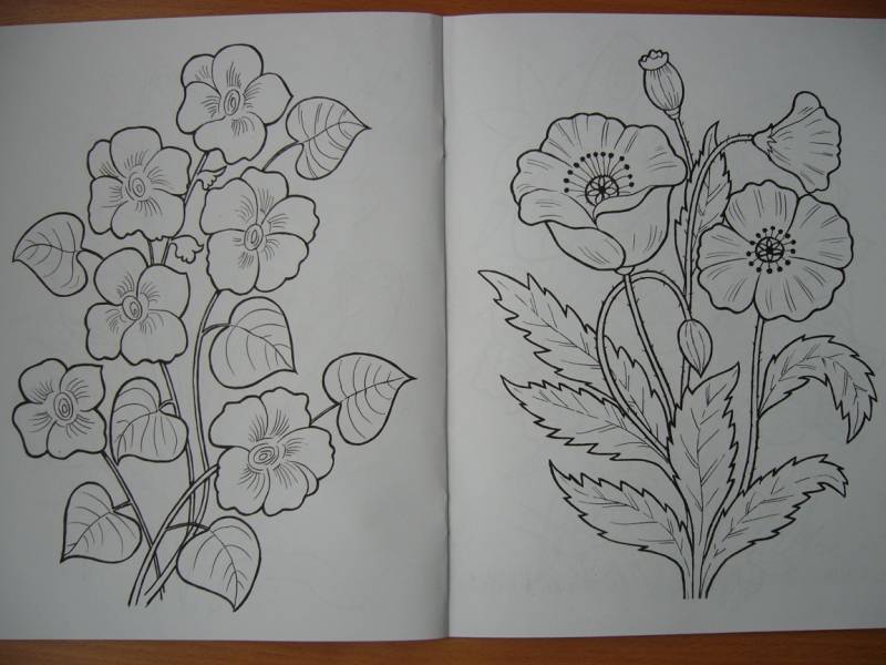 Иллюстрация 6 из 16 для Цветы и бабочки - Татьяна Коваль | Лабиринт - книги. Источник: Мама Саши