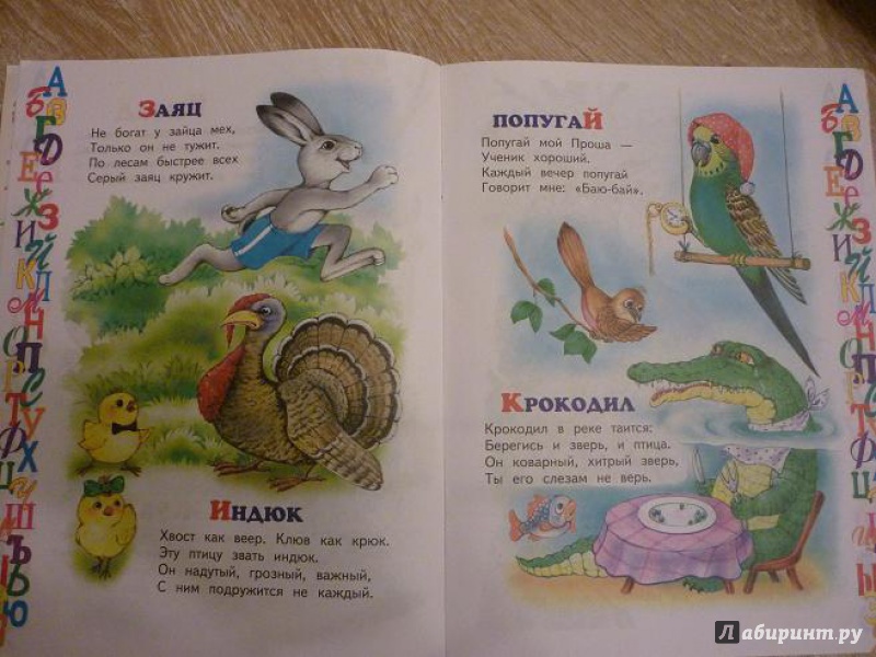 Иллюстрация 7 из 10 для Азбука животных - Владимир Степанов | Лабиринт - книги. Источник: Красавишна3