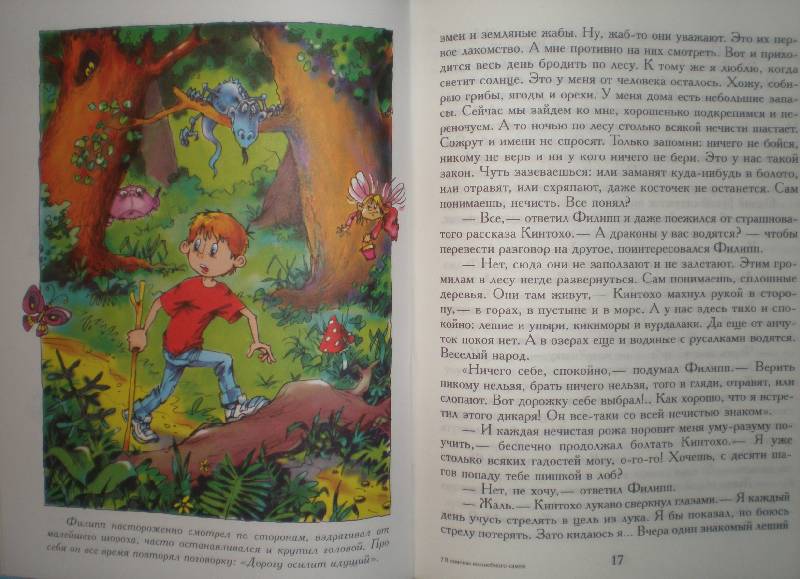 Иллюстрация 16 из 28 для В поисках волшебного камня - Андрей Саломатов | Лабиринт - книги. Источник: Гостья