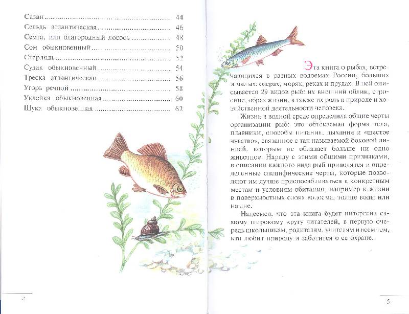 Иллюстрация 4 из 22 для Атлас. Рыбы наших водоемов (5222) - Бровкина, Сивоглазов | Лабиринт - книги. Источник: мамаОля