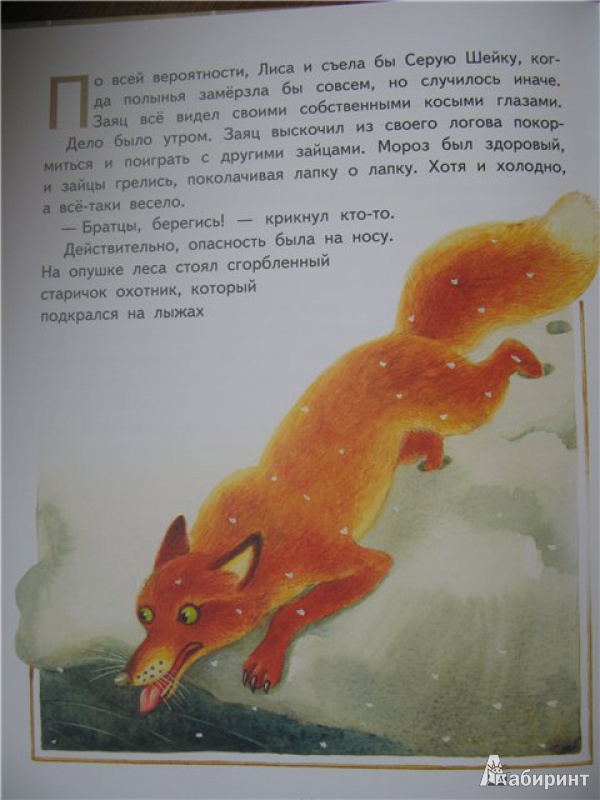 Иллюстрация 11 из 18 для Серая Шейка - Дмитрий Мамин-Сибиряк | Лабиринт - книги. Источник: Левит  .