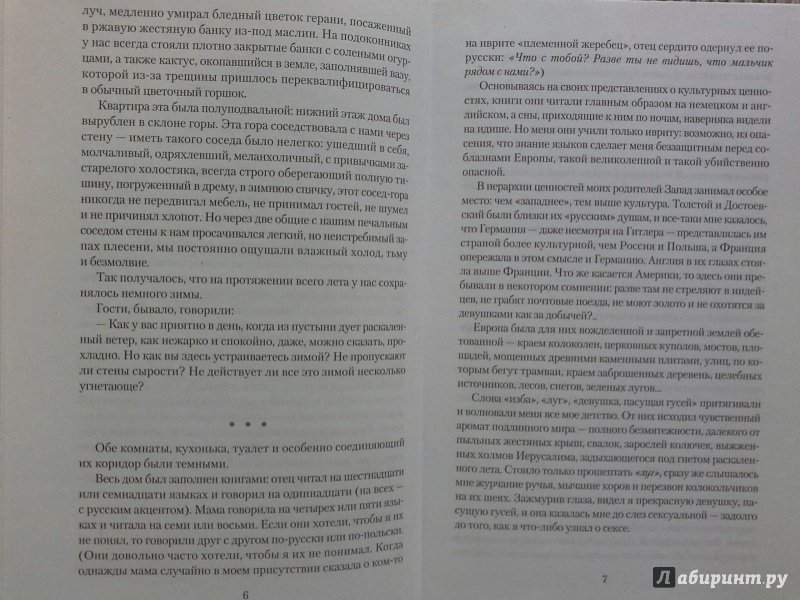 Иллюстрация 11 из 18 для Повесть о любви и тьме - Амос Оз | Лабиринт - книги. Источник: Родионова Жанна