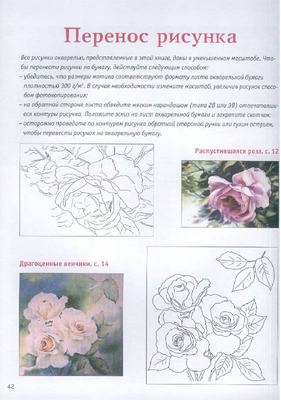 Иллюстрация 9 из 10 для Розы. Акварель | Лабиринт - книги. Источник: GallaL