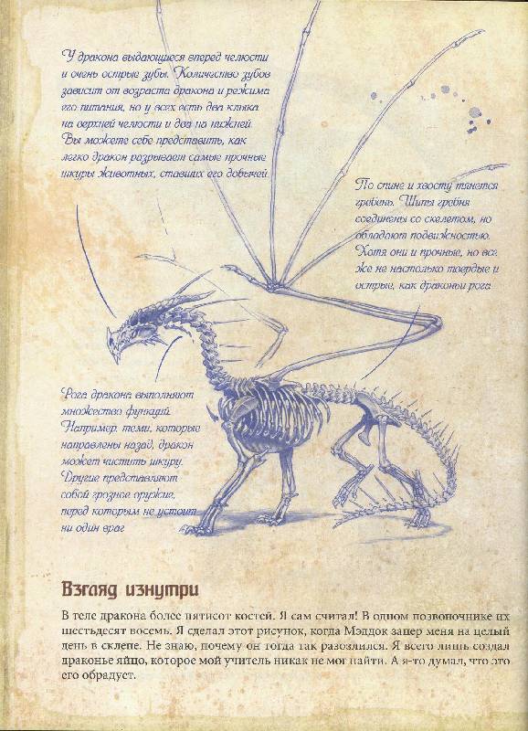 Иллюстрация 54 из 67 для Драконы. Полная энциклопедия | Лабиринт - книги. Источник: Igra