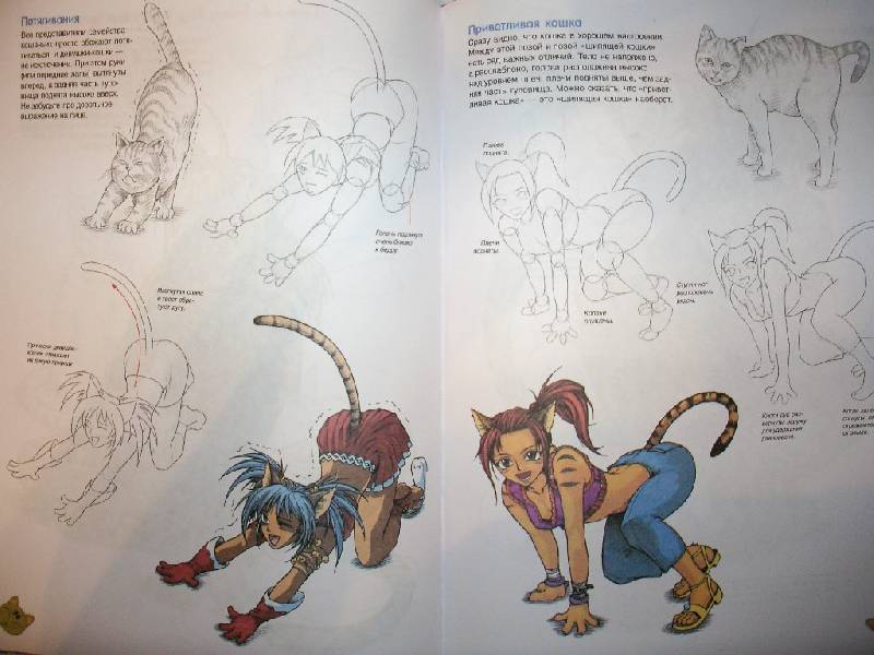 Иллюстрация 6 из 18 для Манга-мания: Чиби и девушки-кошки - Кристофер Харт | Лабиринт - книги. Источник: Tiger.