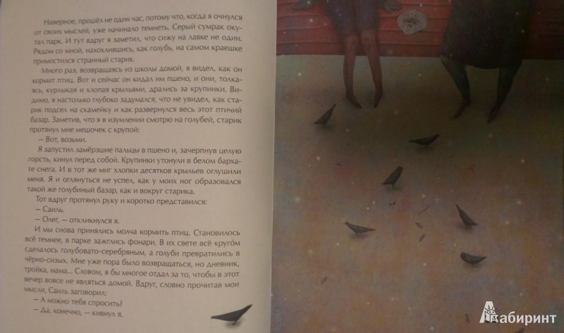 Иллюстрация 8 из 39 для Голубиная история - Александра Боровецкая | Лабиринт - книги. Источник: Katty
