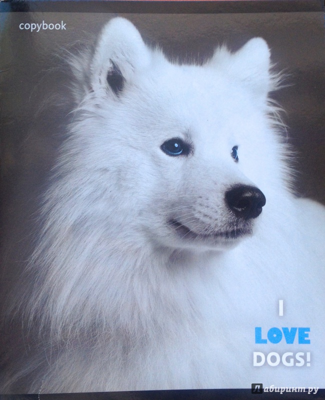 Иллюстрация 8 из 8 для Тетрадь "Любимые собаки" А5, 48 листов, клетка (ТК484260) | Лабиринт - канцтовы. Источник: Dragon