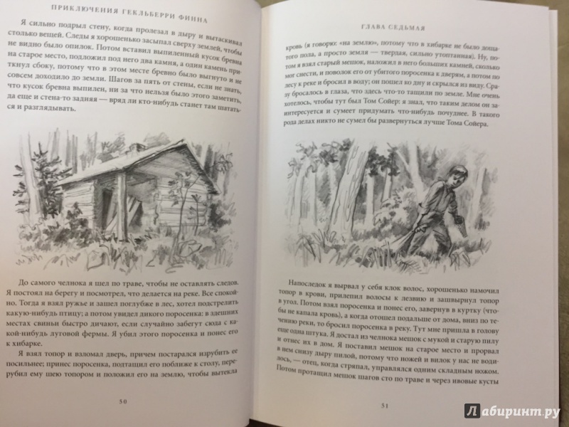 Иллюстрация 10 из 33 для Приключения Гекльберри Финна - Марк Твен | Лабиринт - книги. Источник: pavko