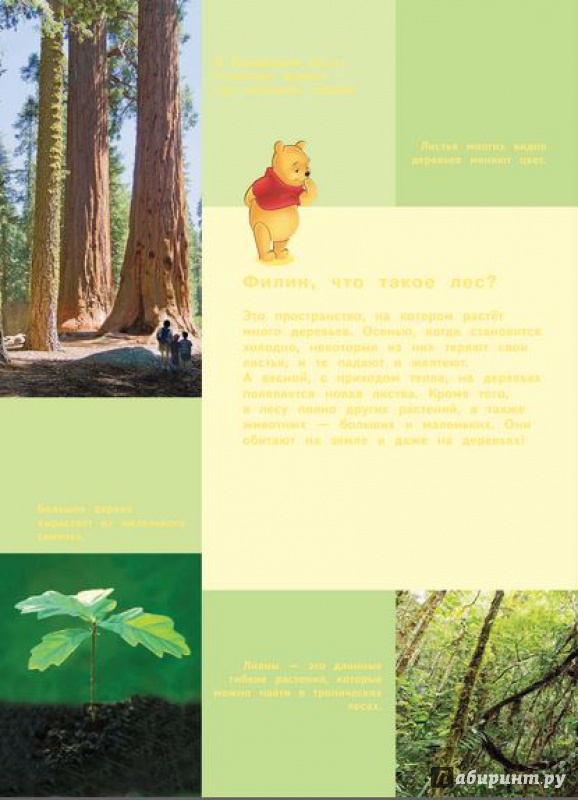 Иллюстрация 7 из 60 для Земля (Winnie the Pooh) | Лабиринт - книги. Источник: Екатерина
