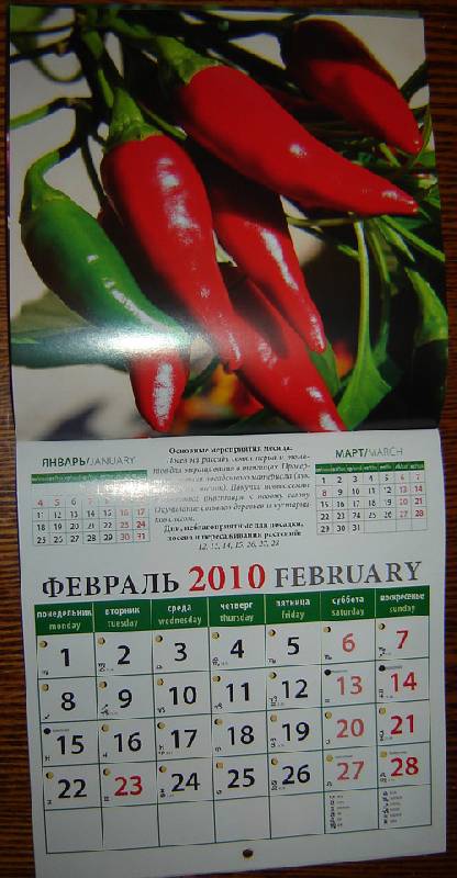 Иллюстрация 3 из 6 для Календарь. 2010 год. Лунный календарь (30909) | Лабиринт - сувениры. Источник: vybegasha