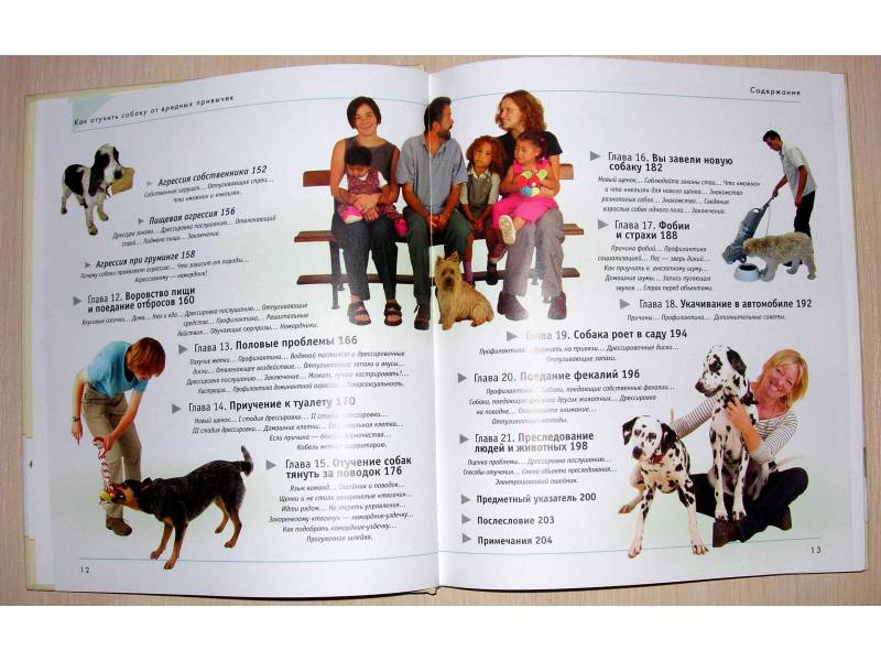 Иллюстрация 8 из 42 для Как отучить собаку от вредных привычек - Колин Теннант | Лабиринт - книги. Источник: Rocio