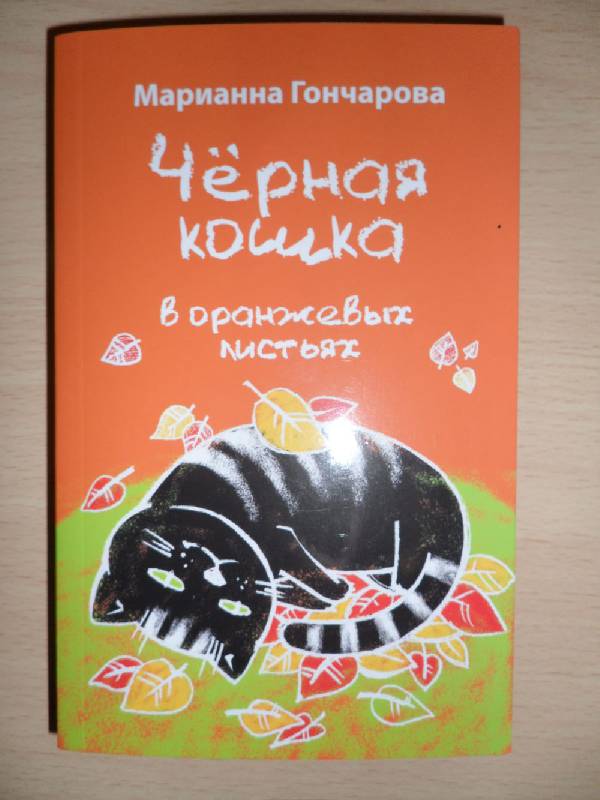 Иллюстрация 1 из 3 для Черная кошка в оранжевых листьях - Марианна Гончарова | Лабиринт - книги. Источник: LilyWhite