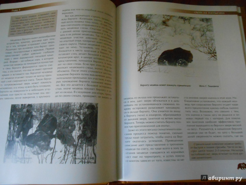 Иллюстрация 20 из 43 для Охота на медведя - Олег Малов | Лабиринт - книги. Источник: Леан