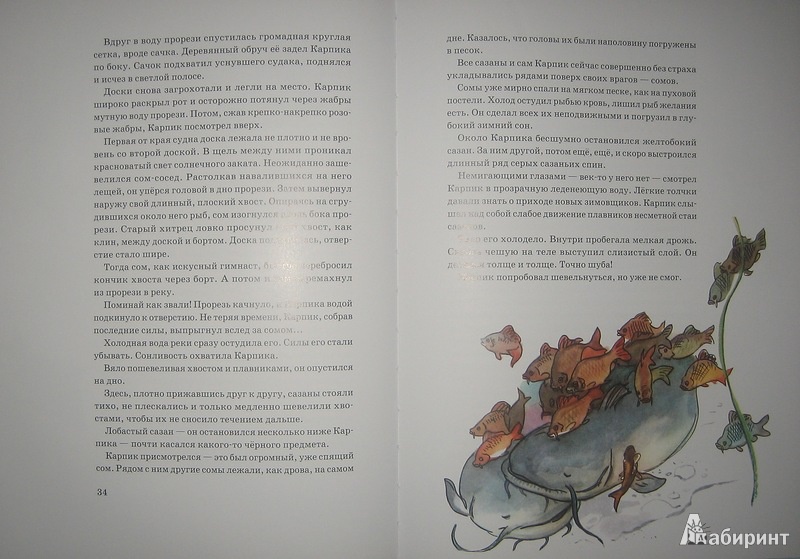 Иллюстрация 19 из 65 для Приключения Карпика - Андрей Клыков | Лабиринт - книги. Источник: Трухина Ирина