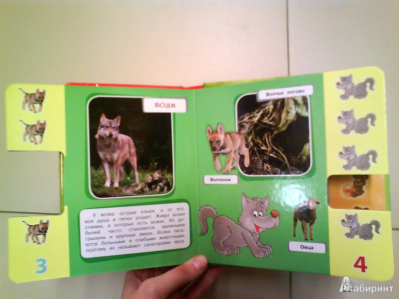 Иллюстрация 8 из 9 для Кто в лесу живет? Листай странички-учи цифры! Узнавай! Учись! Играй! | Лабиринт - книги. Источник: Мила