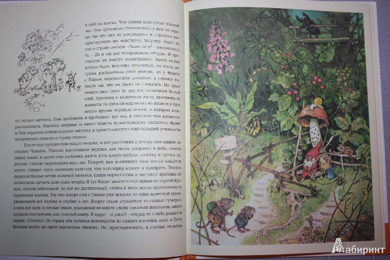 Иллюстрация 22 из 78 для В стране гномов - Эрих Хайнеманн | Лабиринт - книги. Источник: Михайлова Алексия