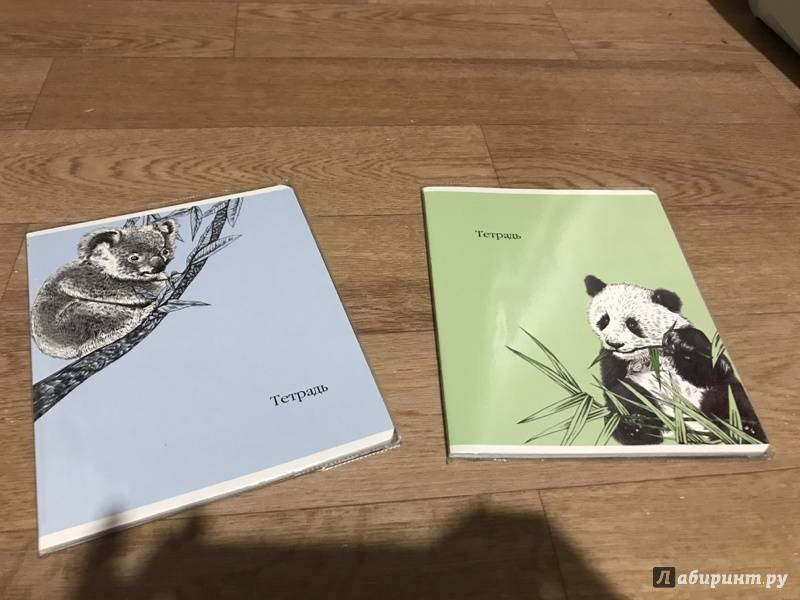 Иллюстрация 17 из 20 для Тетрадь общая, 48 листов "Животные. Графика", 5 видов (34167-5) | Лабиринт - канцтовы. Источник: Лина