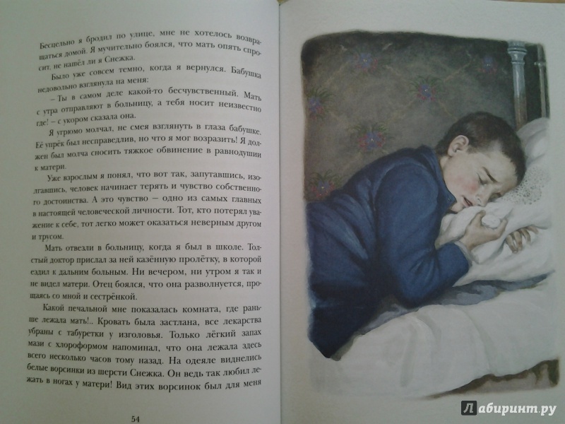 Иллюстрация 37 из 113 для Удивительный заклад - Екатерина Боронина | Лабиринт - книги. Источник: Olga