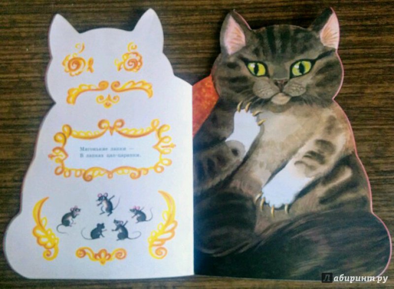 Иллюстрация 119 из 156 для Котик-коток | Лабиринт - книги. Источник: Natalie Leigh
