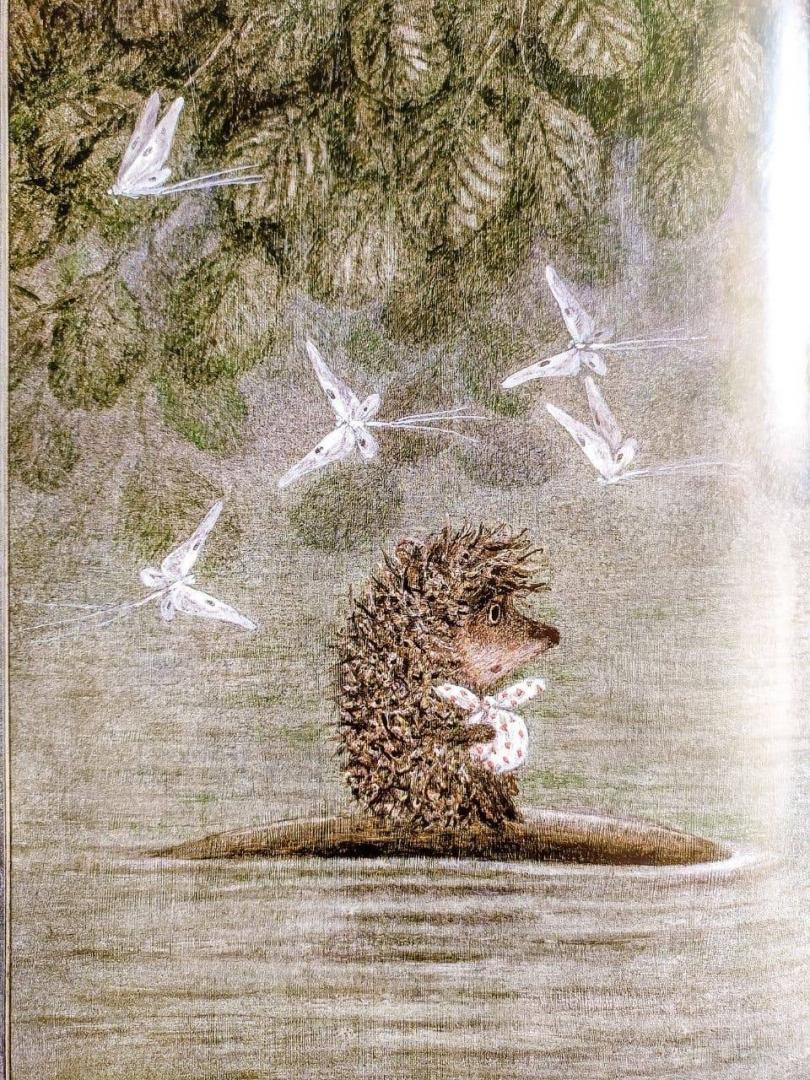 Иллюстрация 65 из 83 для Ежик в тумане - Козлов, Норштейн | Лабиринт - книги. Источник: @Natalita.Maslennikova