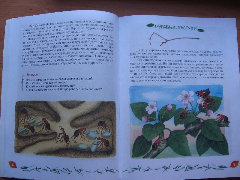 Иллюстрация 12 из 24 для Кто в муравейнике живет: книга для чтения детям - Александр Тамбиев | Лабиринт - книги. Источник: Red cat ;)
