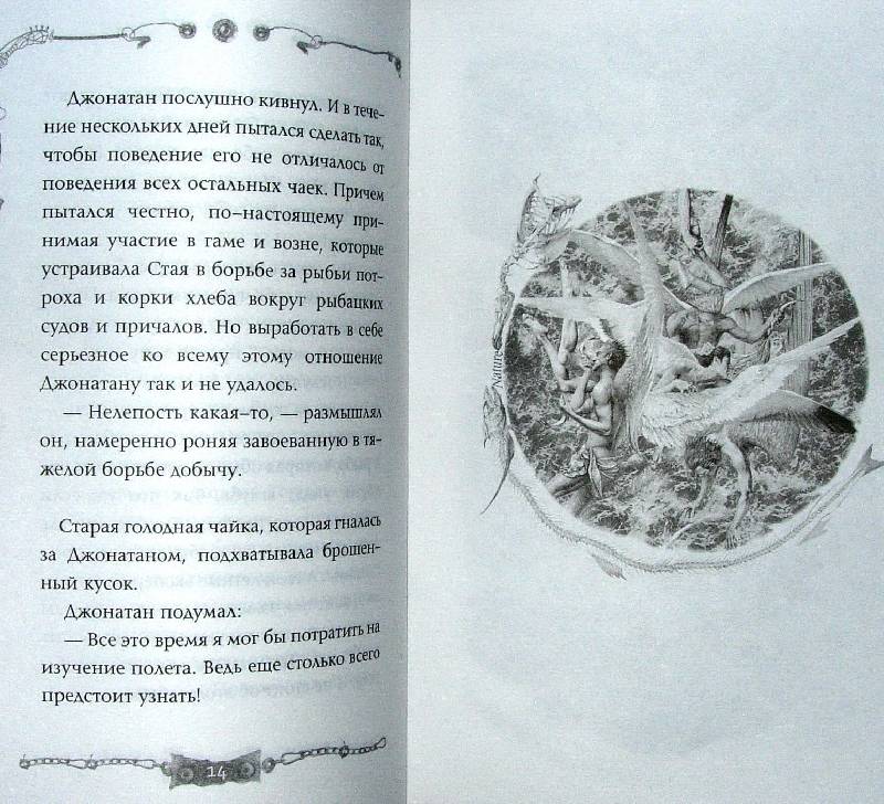 Иллюстрация 7 из 9 для Чайка Джонатан Ливингстон - Ричард Бах | Лабиринт - книги. Источник: Rocio