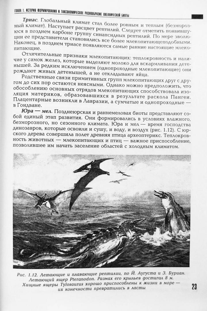 Иллюстрация 24 из 28 для Биогеография океана. Учебник - Кирилл Петров | Лабиринт - книги. Источник: читатель