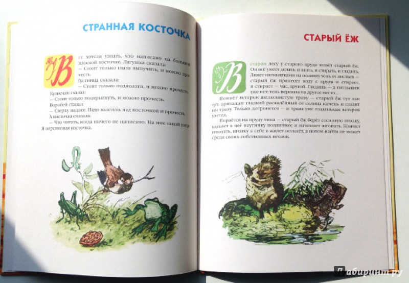 Иллюстрация 9 из 49 для Клетчатый гусь - Рахиль Баумволь | Лабиринт - книги. Источник: Olga