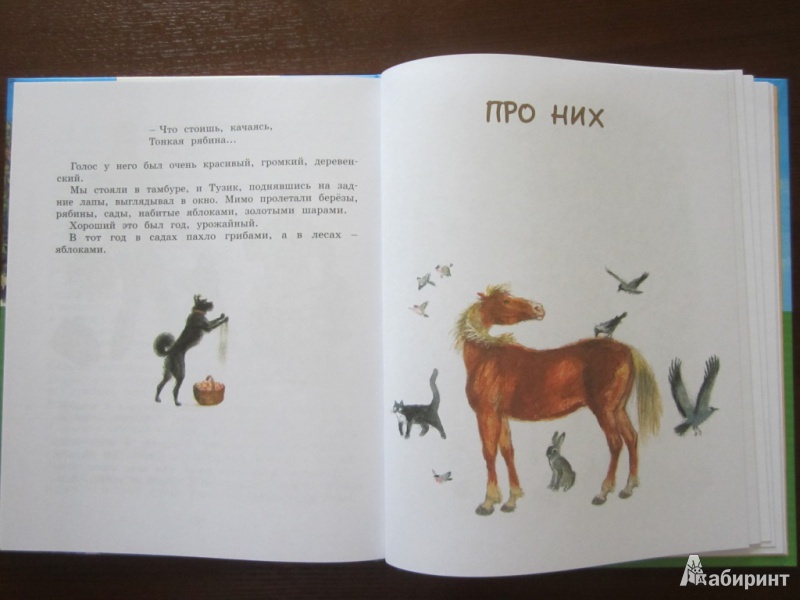 Иллюстрация 23 из 59 для Картофельная собака - Юрий Коваль | Лабиринт - книги. Источник: ЮлияО