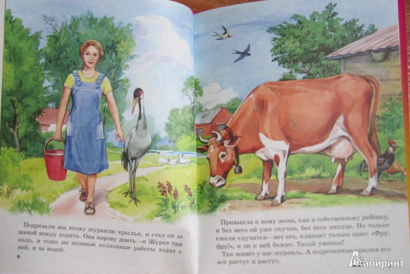 Иллюстрация 2 из 7 для Рассказы о животных малышам - Михаил Пришвин | Лабиринт - книги. Источник: Сагиттариус