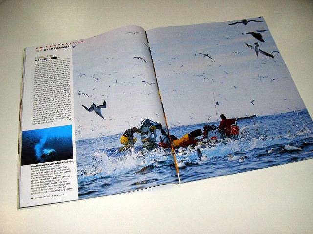 Иллюстрация 19 из 40 для Океаны (DVD+Blu-ray) - Перрен, Клюзо | Лабиринт - . Источник: Валерия