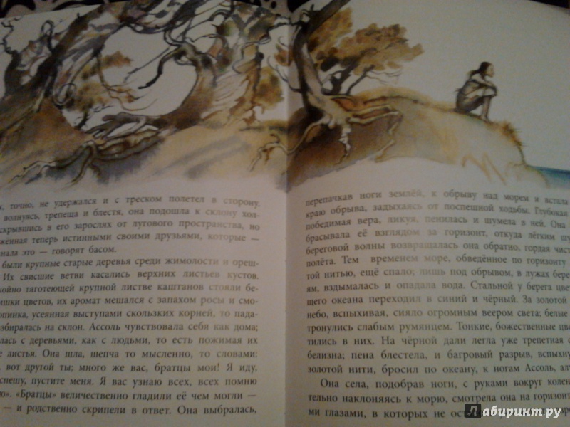 Иллюстрация 37 из 39 для Алые паруса - Александр Грин | Лабиринт - книги. Источник: Yayoi